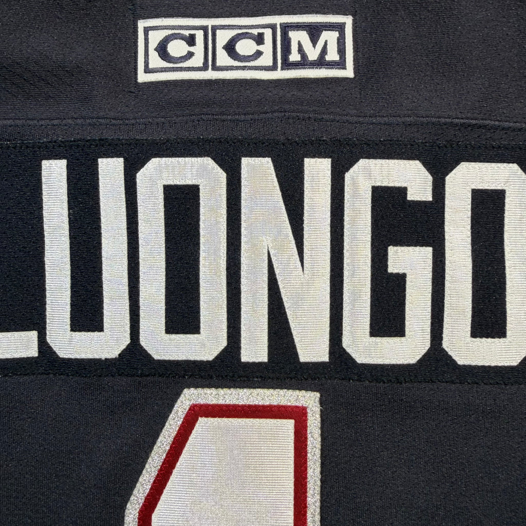 Roberto Luongo Vancouver Canucks Vintage CCM NHL Jersey - Small