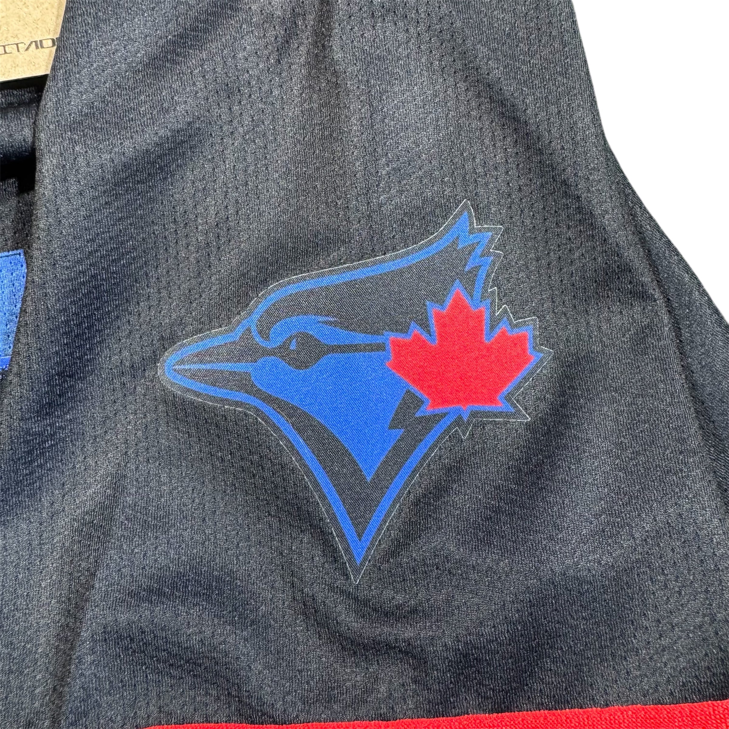 Vladimir Guerrero Jr Toronto Blue Jays Nike City Connect MLB Jersey Size XL