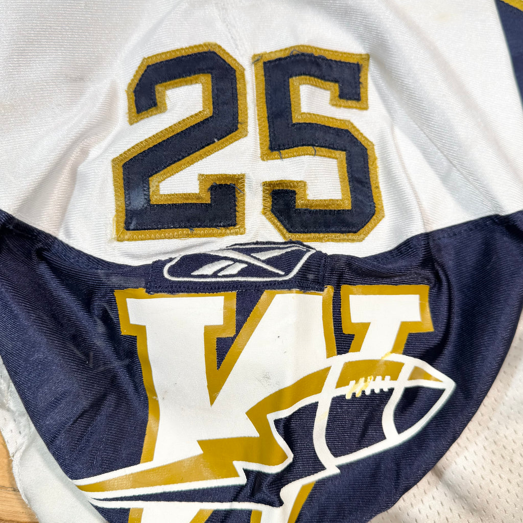 Terry Ray Winnipeg Blue Bombers 2004 Game Worn CFL Football Jersey