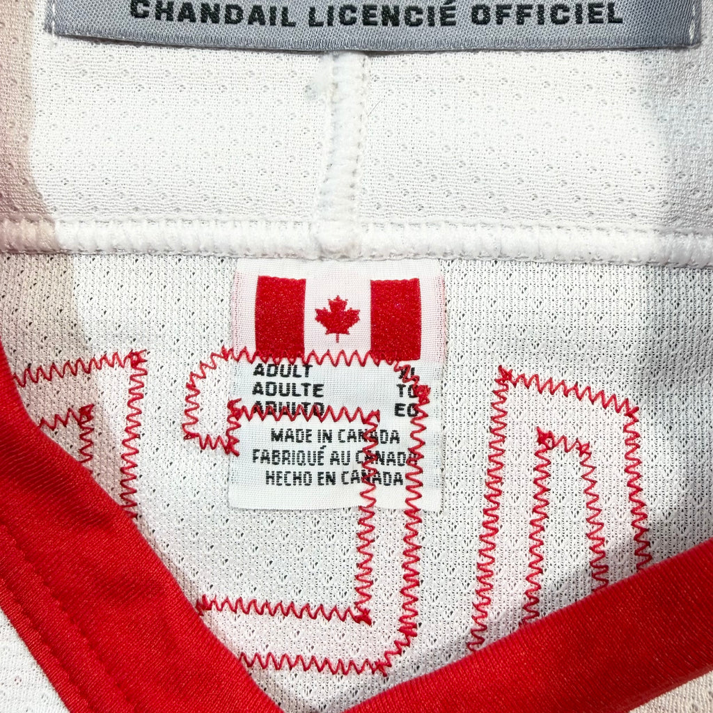 Dominik Hasek Detroit Red Wings Vintage CCM NHL Jersey - XL