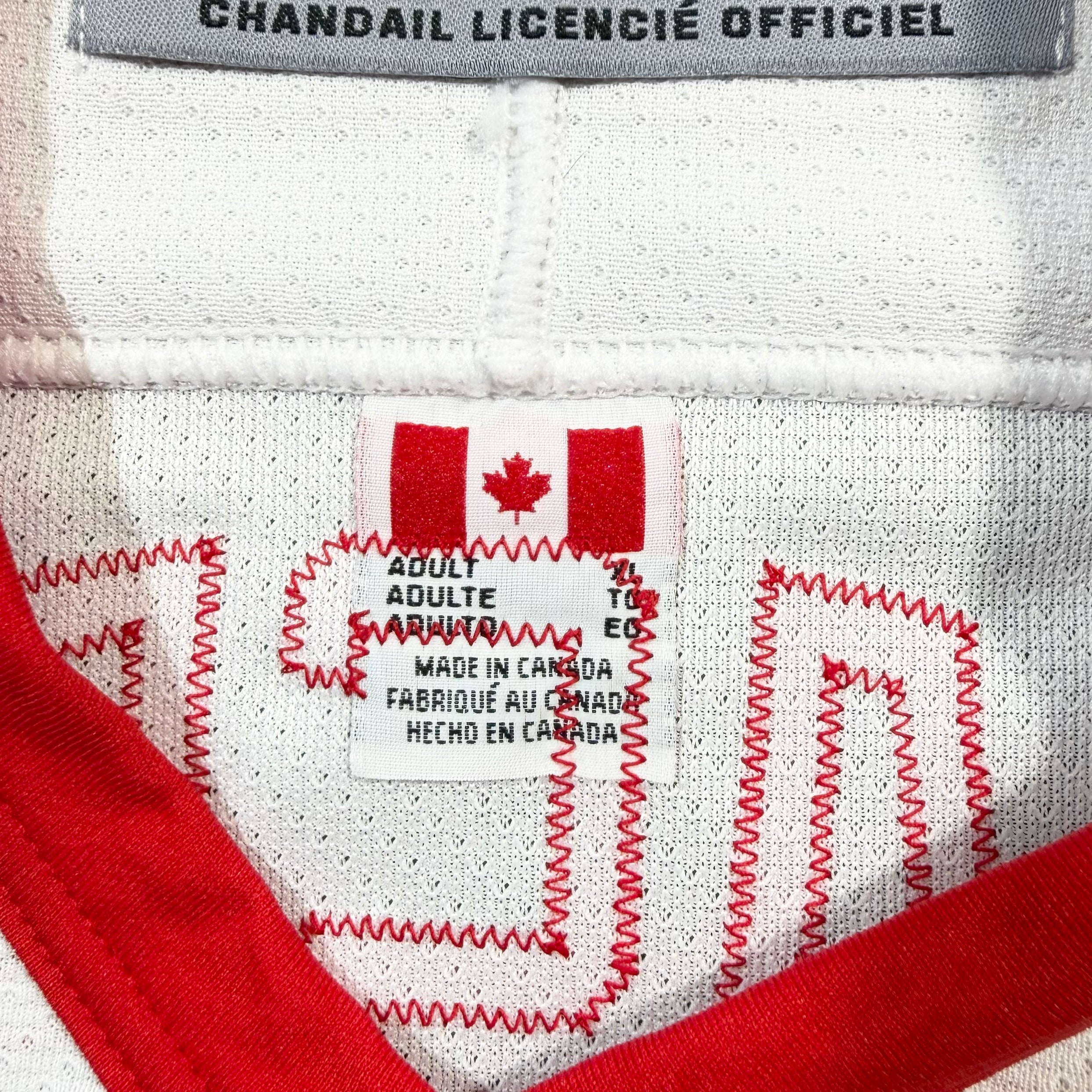 Dominik Hasek Detroit Red Wings Vintage CCM NHL Jersey - XL