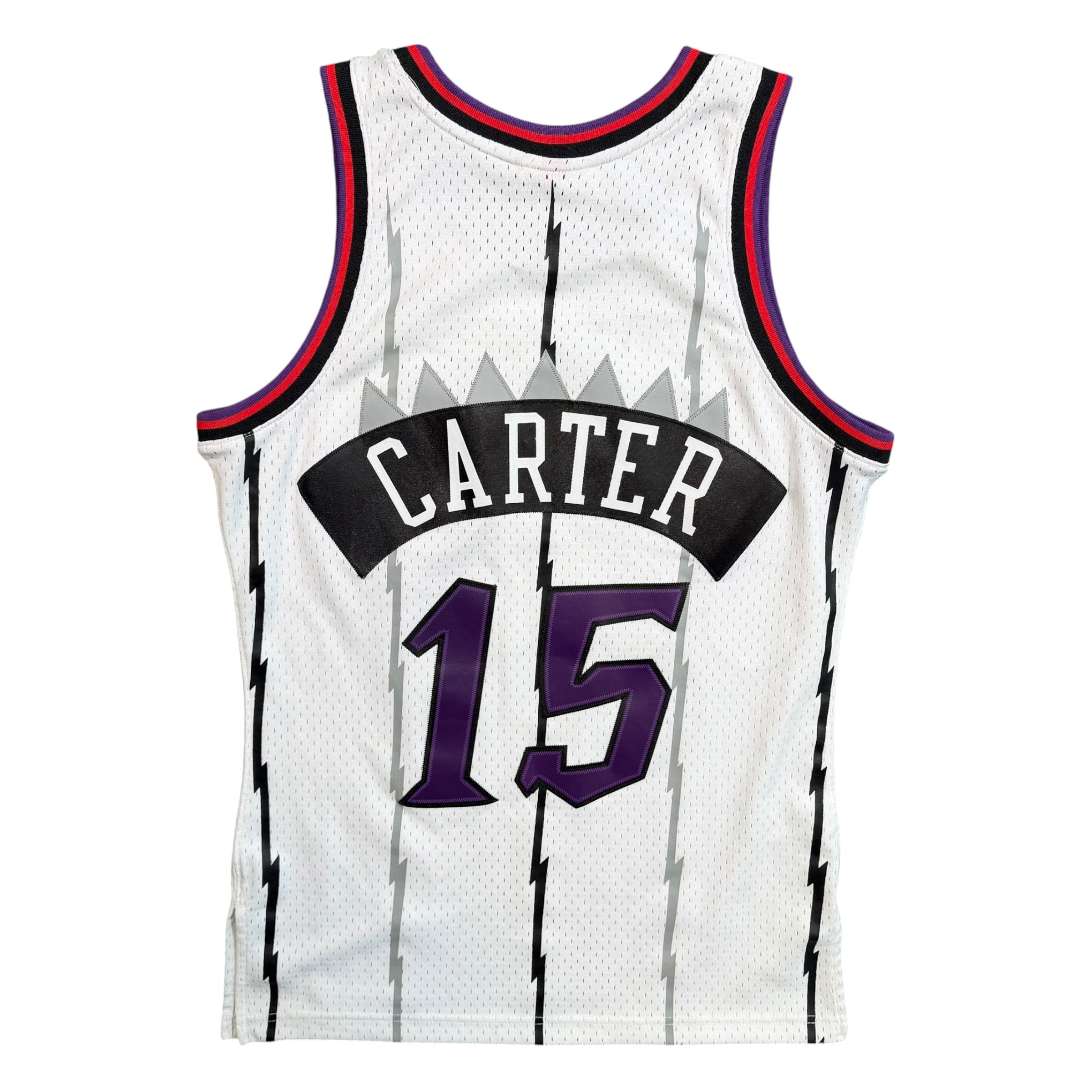 Vince Carter Toronto Raptors Mitchell & Ness NBA Jersey - Small