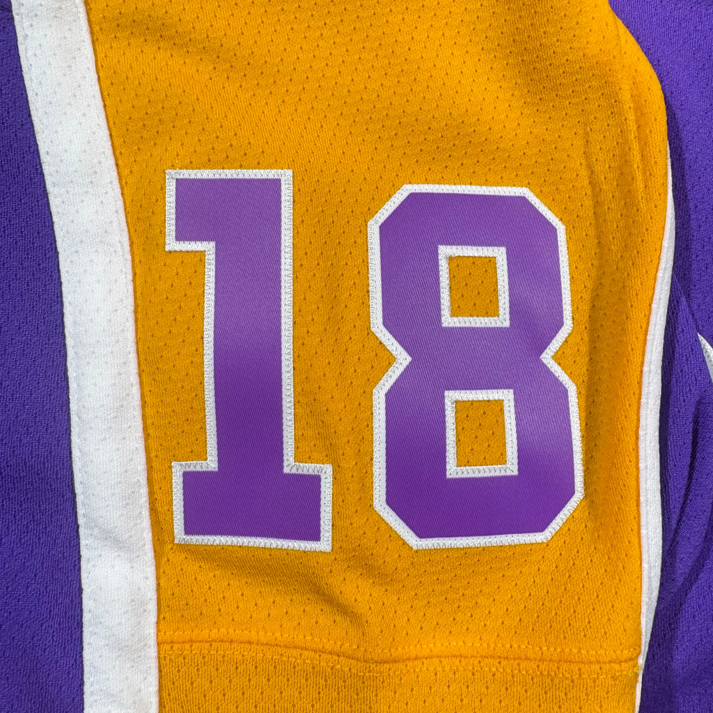Dave Taylor Los Angeles Kings Mitchell & Ness Throwback NHL Jersey - XL