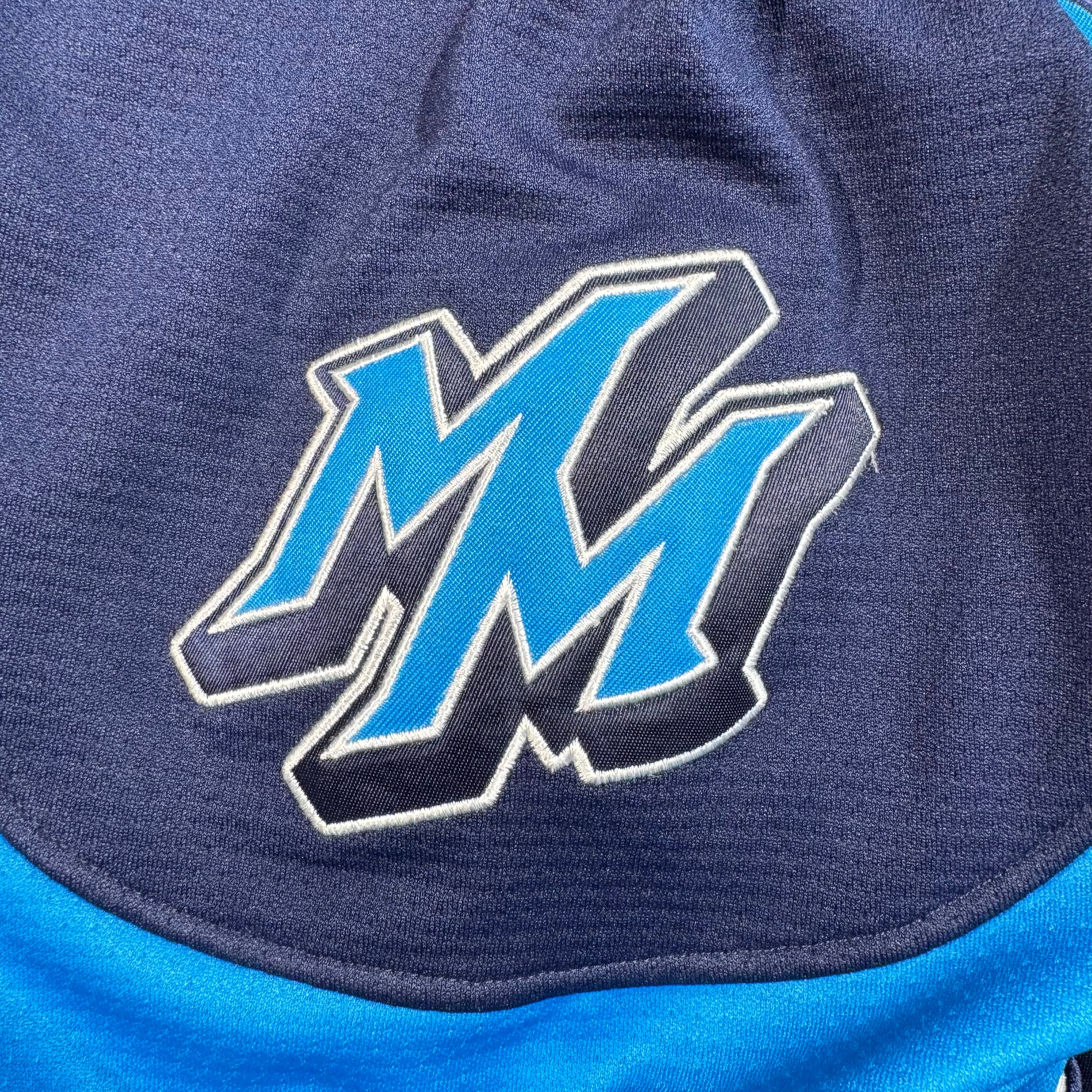 Manitoba Moose Alternate Team Issued CCM AHL Jersey Size 56 STRIPPED