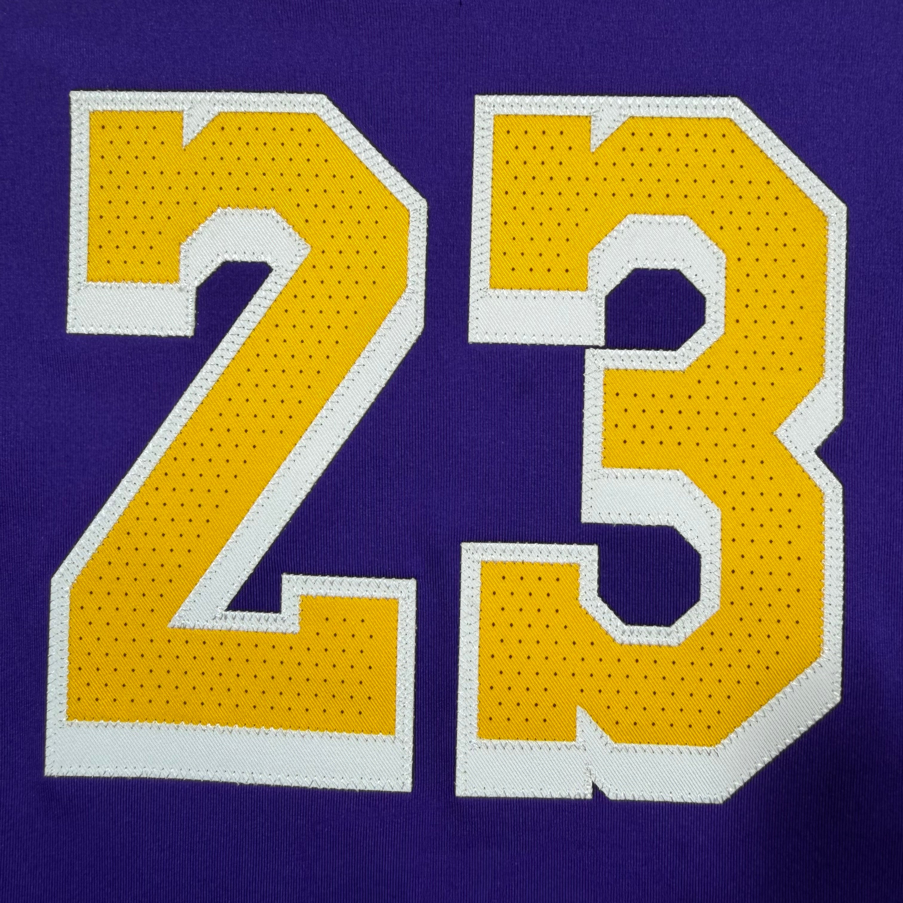 LeBron James Los Angeles Lakers Nike Authentic NBA Jersey - 48/Large