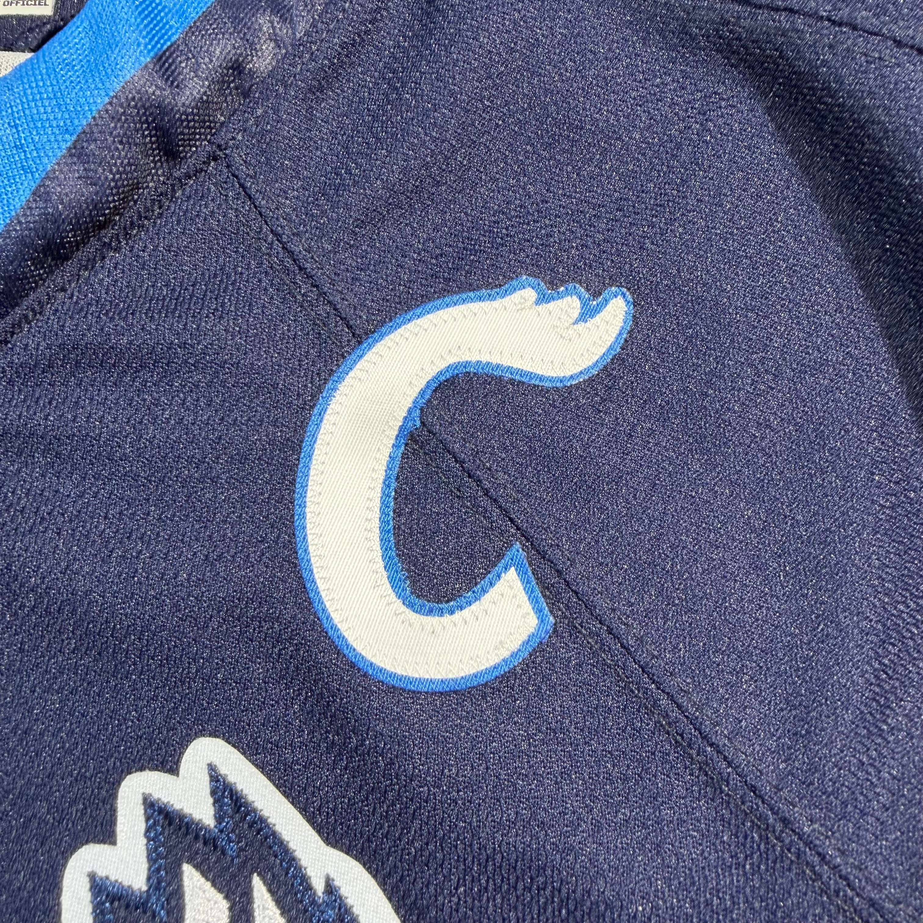 Peter Stoykewych Manitoba Moose Signed AHL CCM Hockey Jersey - Large