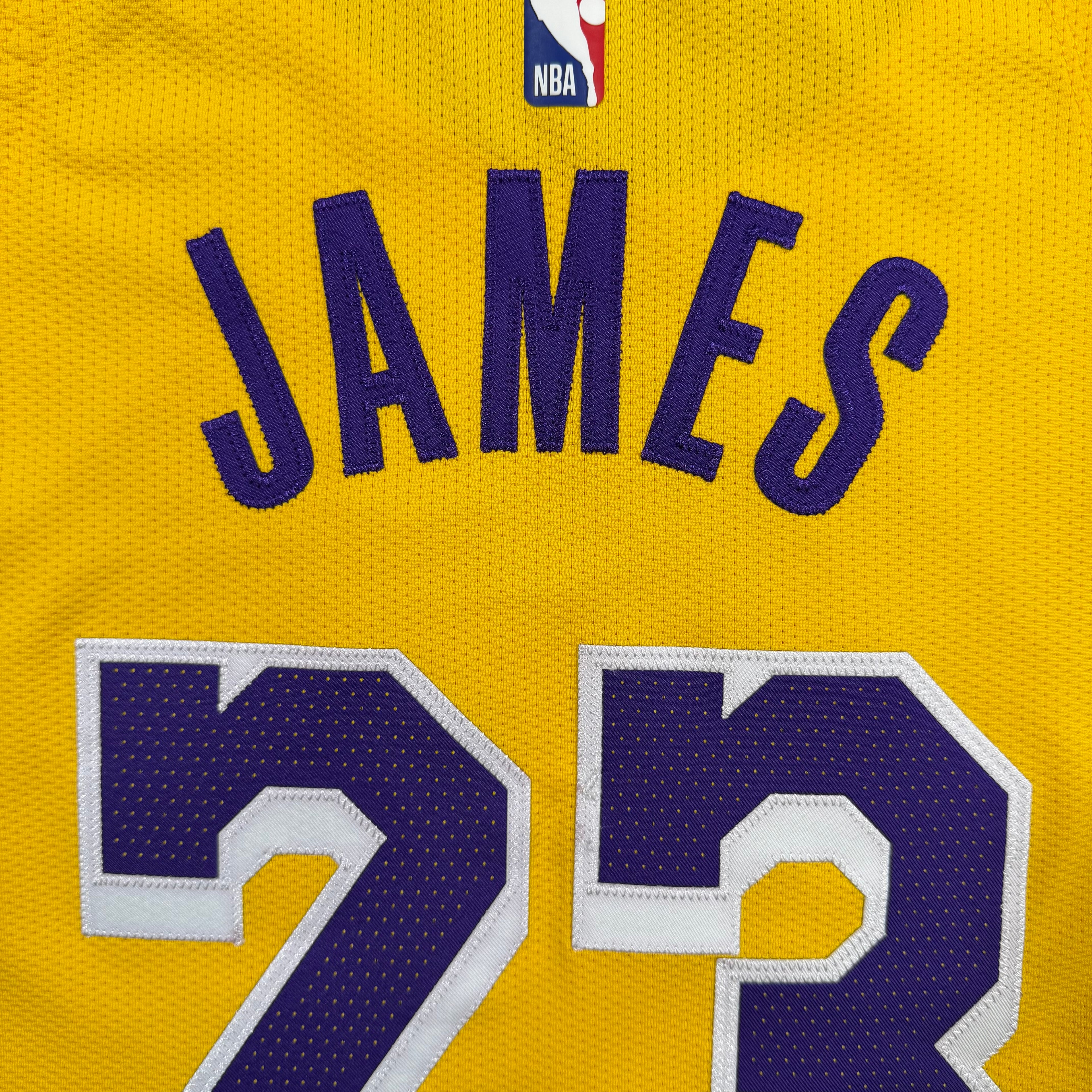 LeBron James Los Angeles Lakers Nike Authentic NBA Jersey - 44/Medium