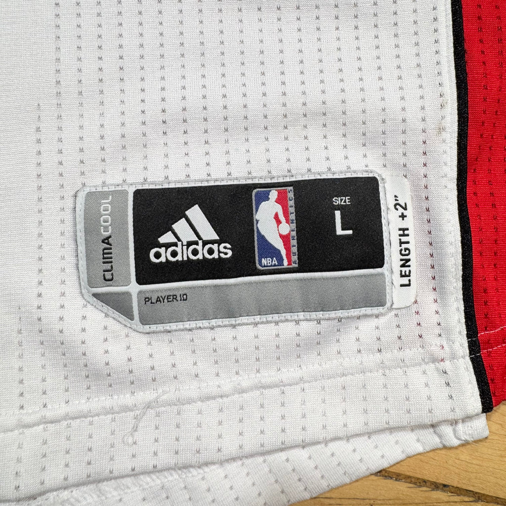 Tyler Hansbrough Toronto Raptors Adidas Rev 30 Authentic NBA Jersey Size Large