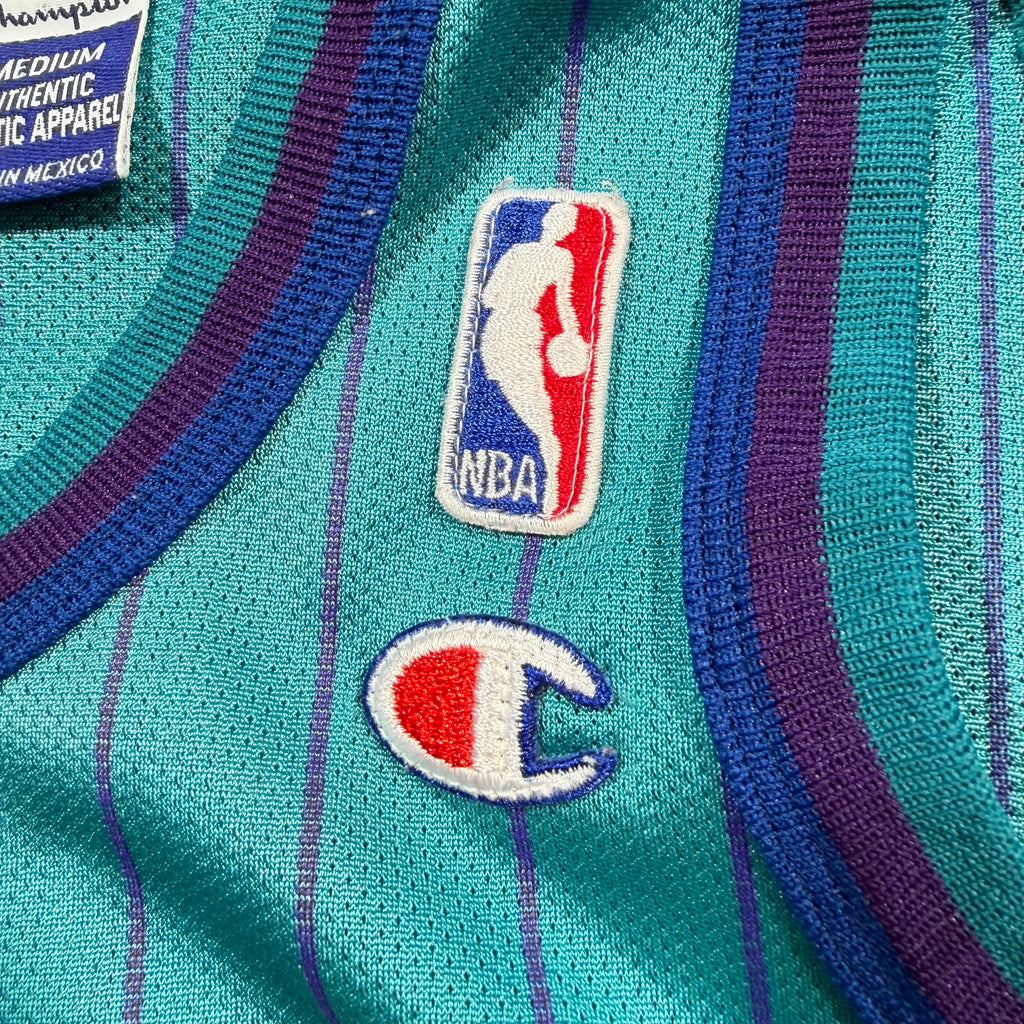 Baron Davis Charlotte Hornets Vintage Champion NBA Jersey - 40/Medium
