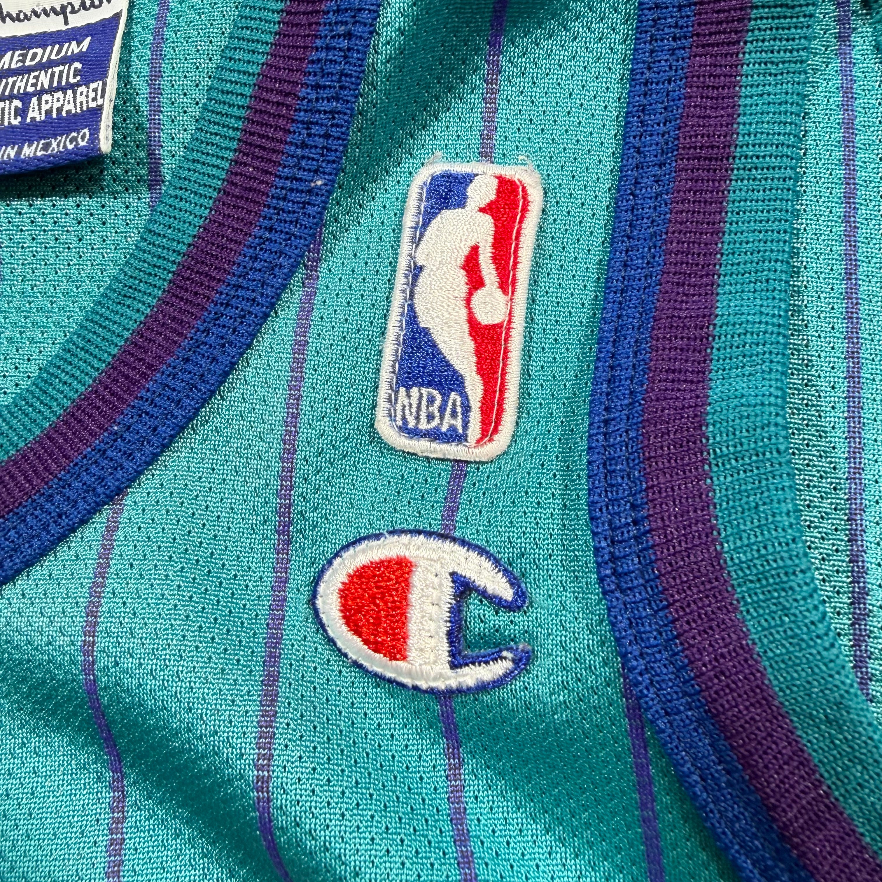 Baron Davis Charlotte Hornets Vintage Champion NBA Jersey - 40/Medium
