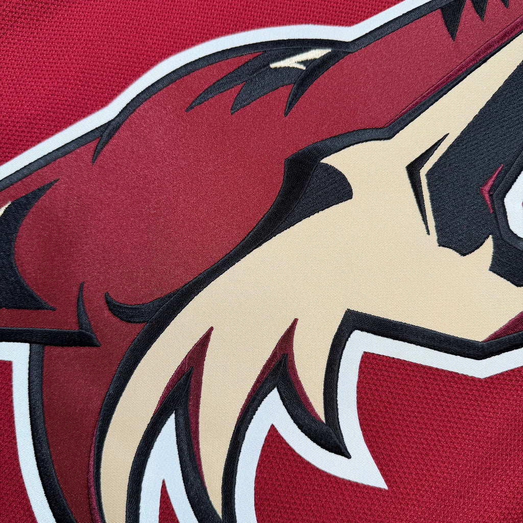 Max Domi Arizona Coyotes Reebok NHL Jersey - XXL