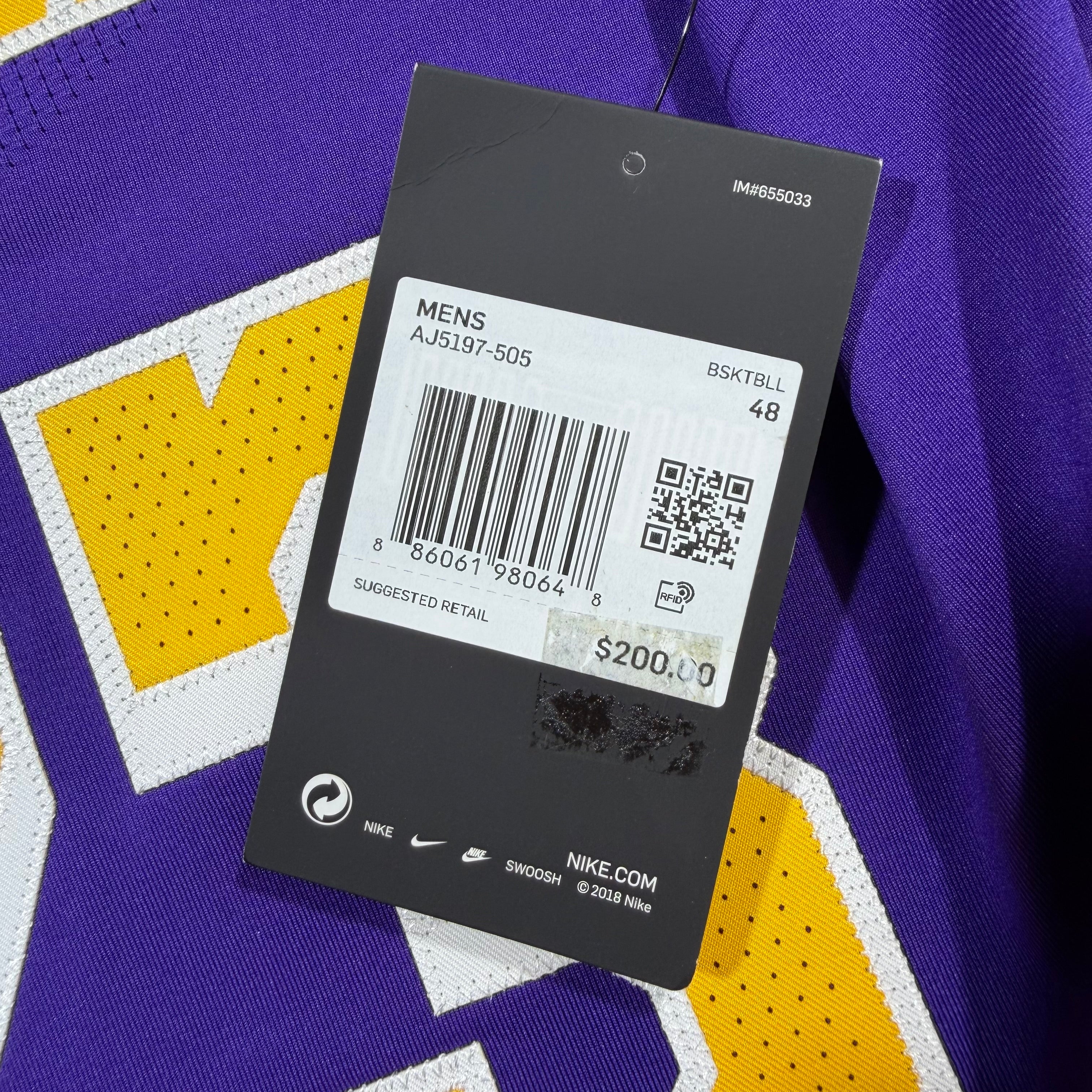 LeBron James Los Angeles Lakers Nike Authentic NBA Jersey - 48/Large
