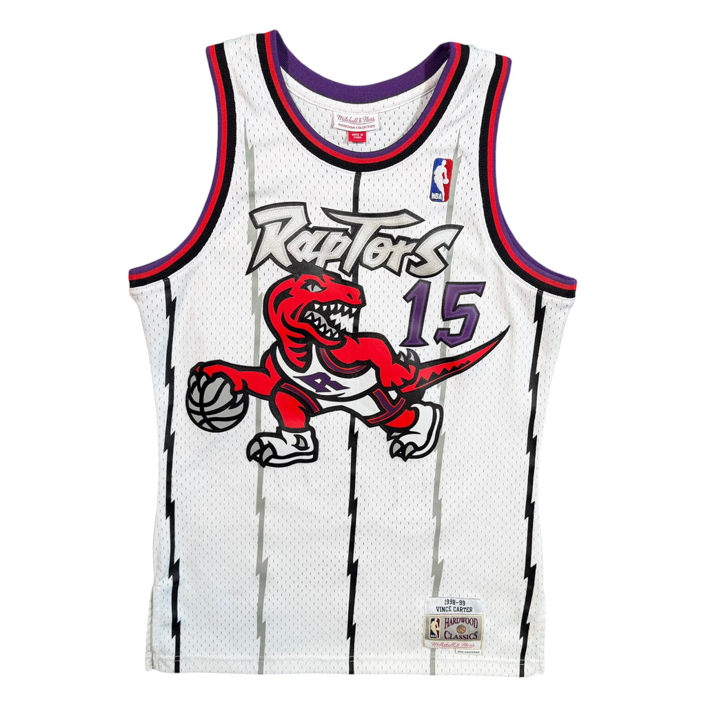 Vince Carter Toronto Raptors Mitchell & Ness NBA Jersey - Small