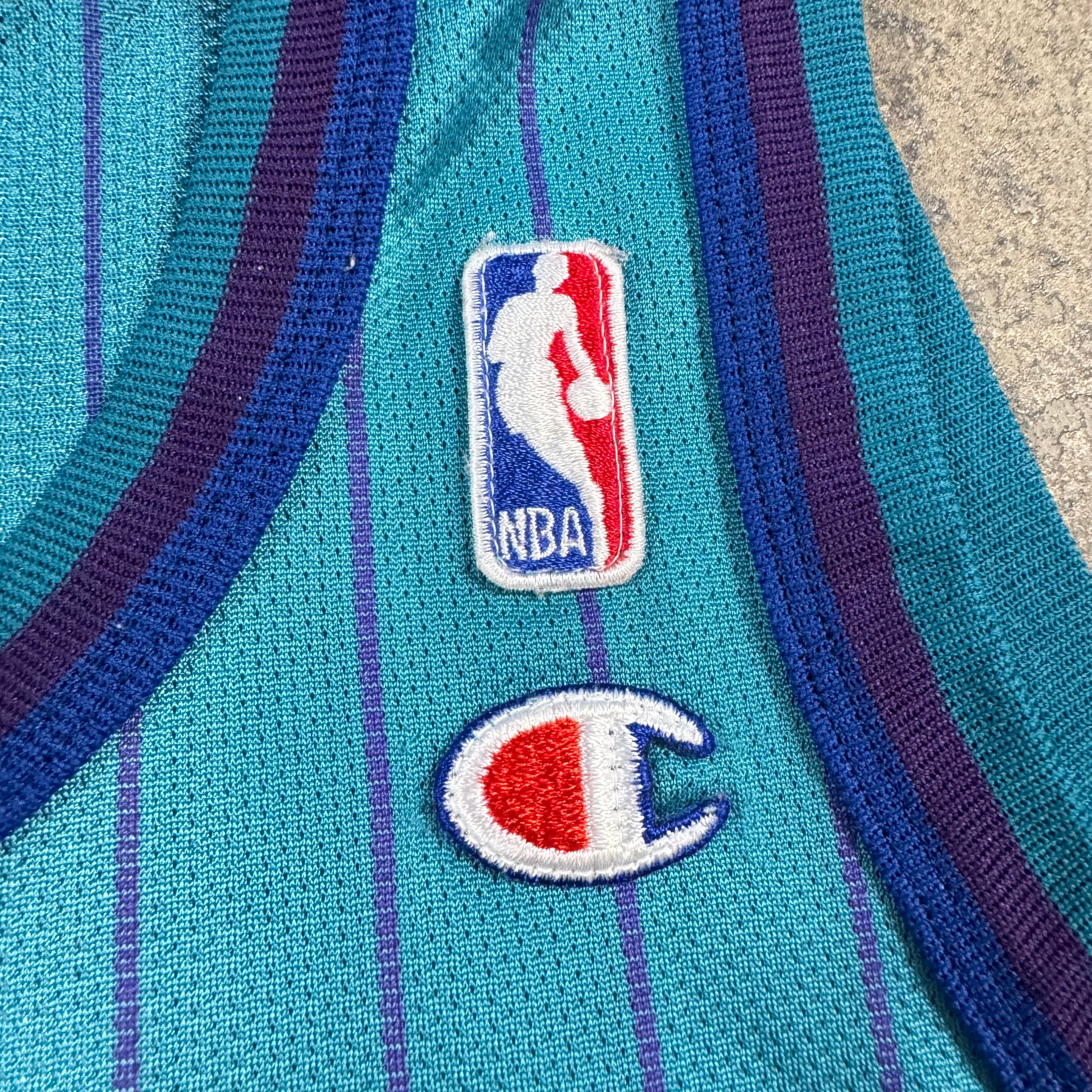 Baron Davis Charlotte Hornets Vintage Champion Pinstripe NBA Jersey Size Medium