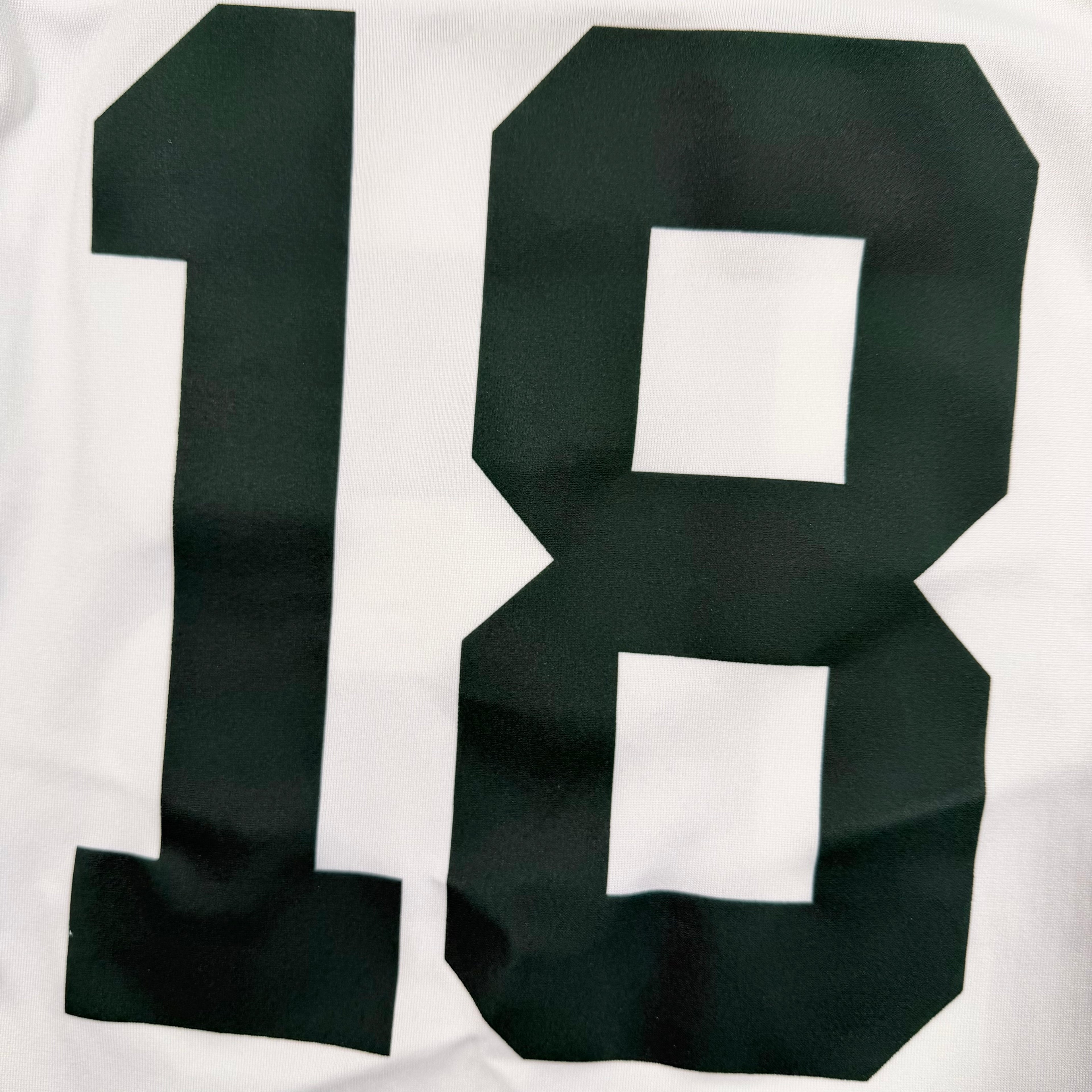 Randall Cobb Green Bay Packers Nike Game NFL Jersey - Large