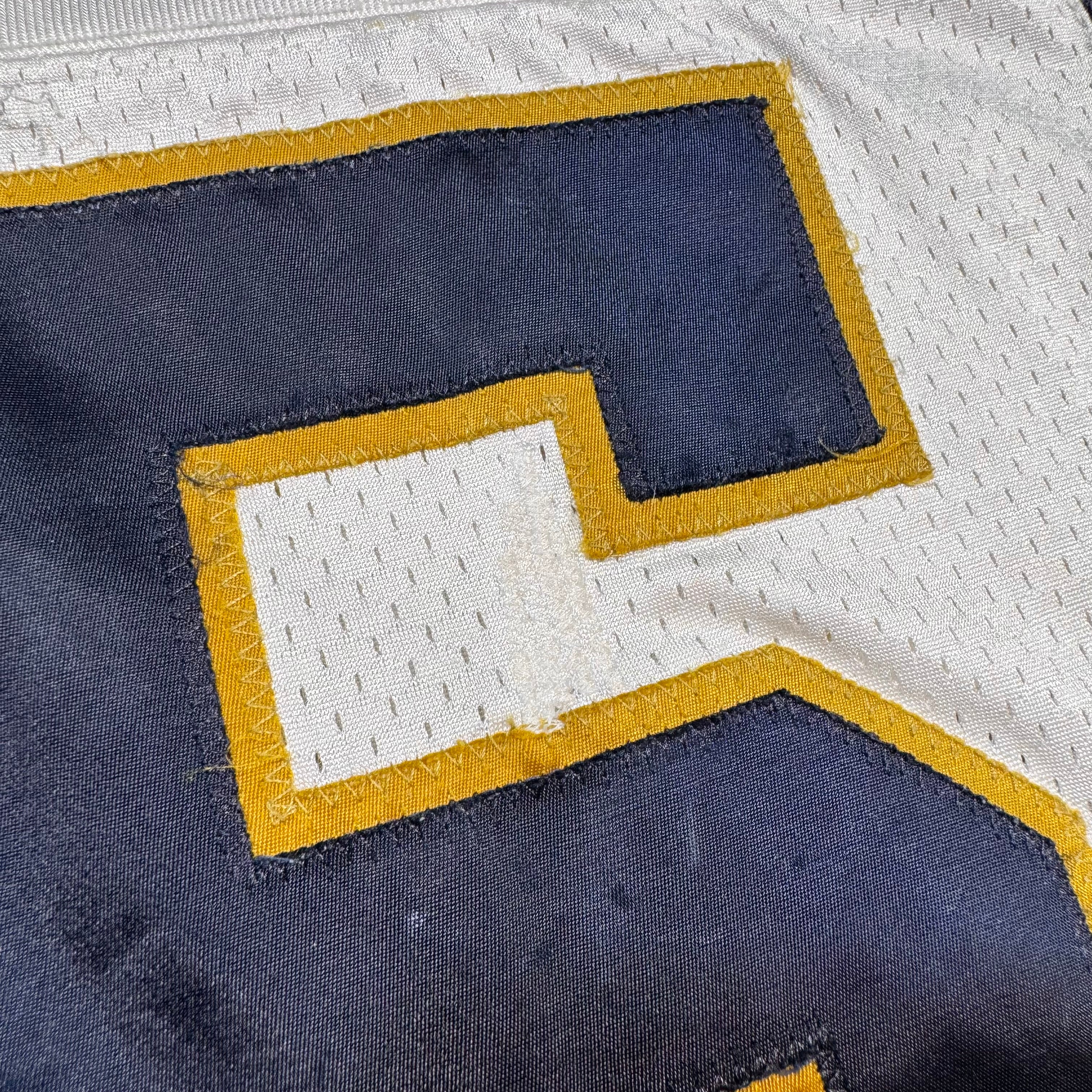 Terry Ray Winnipeg Blue Bombers 2004 Game Worn CFL Football Jersey