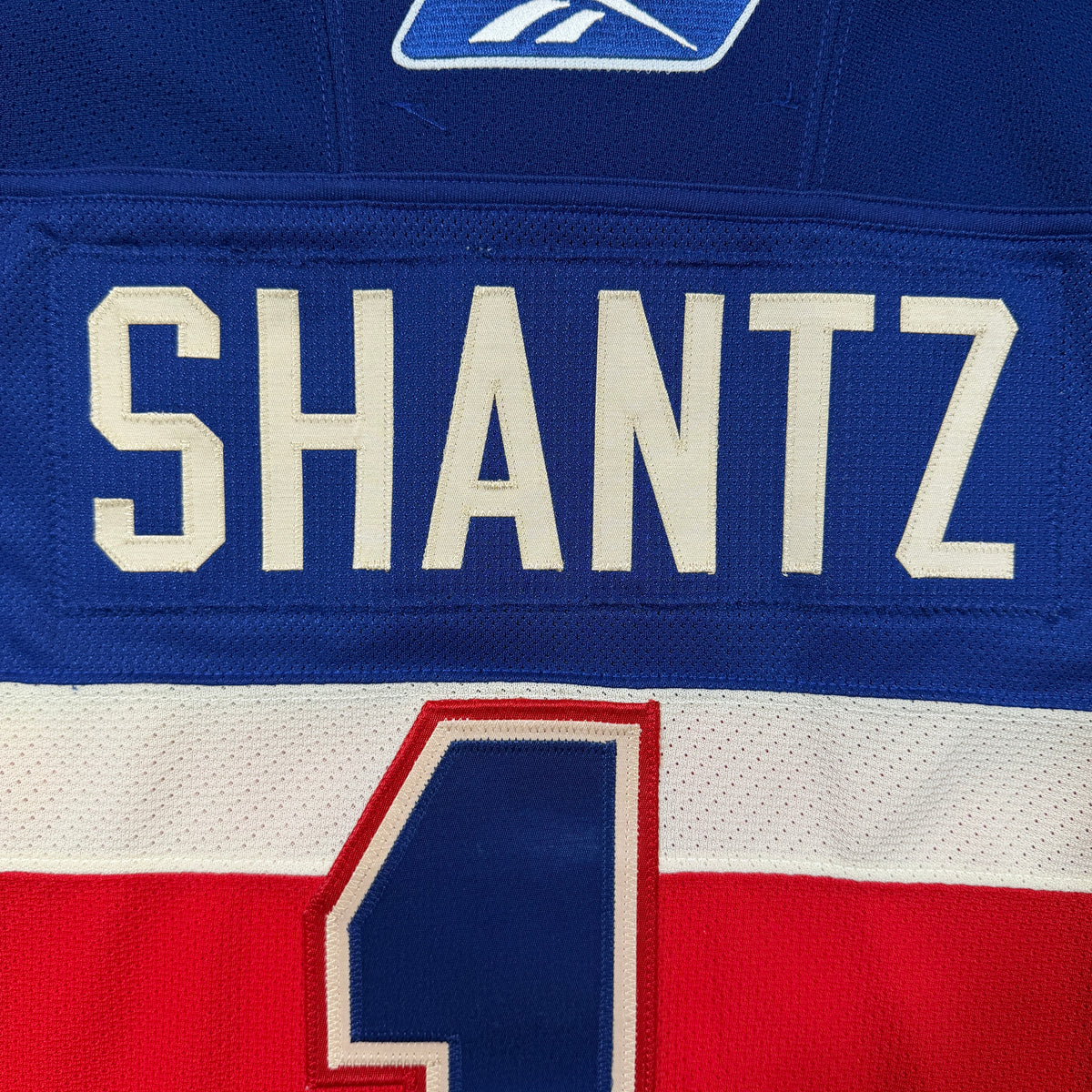 David Shantz Manitoba Moose 2010/11 Team Issued 15th Anniversary AHL Jersey - 58G