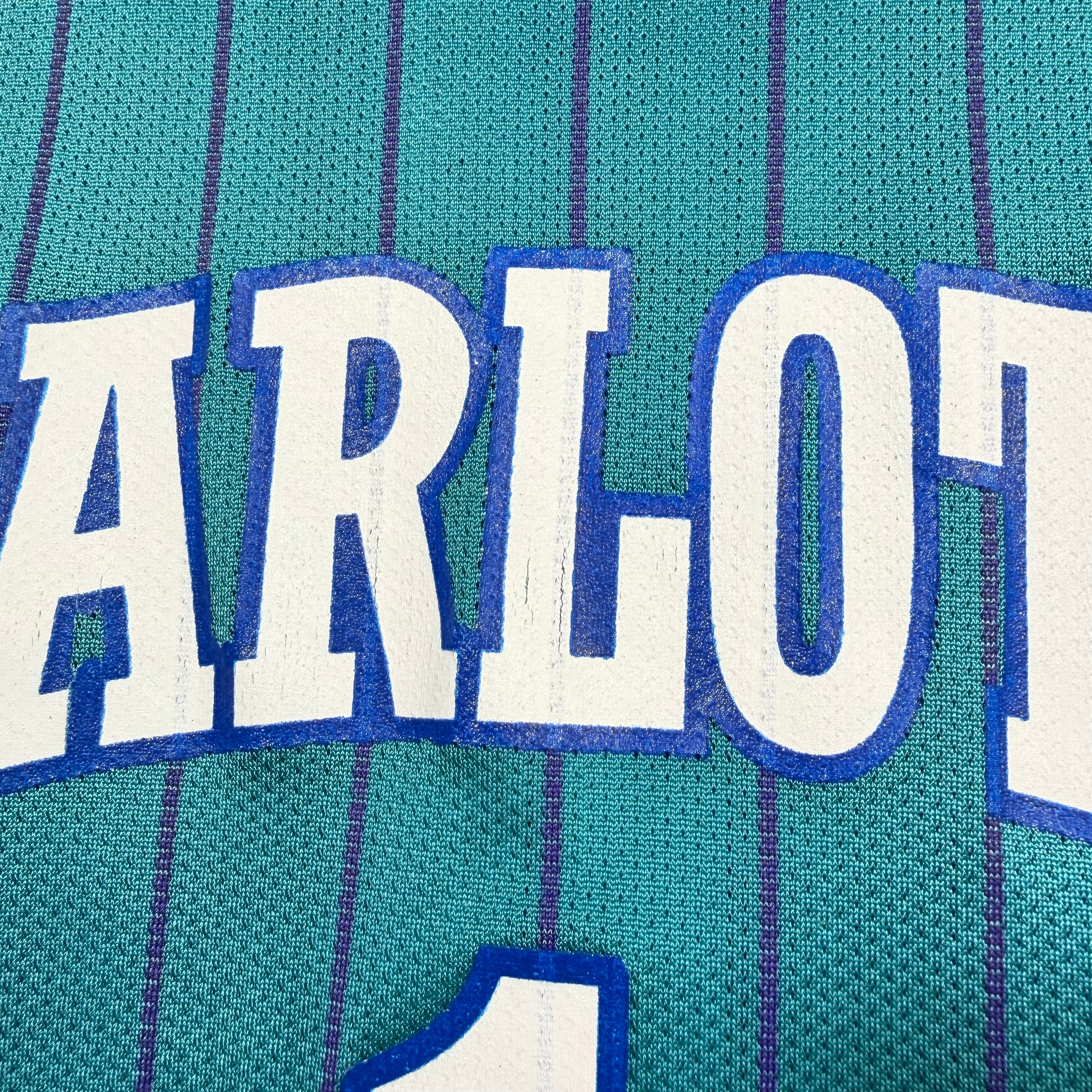 Baron Davis Charlotte Hornets Vintage Champion NBA Jersey - 40/Medium