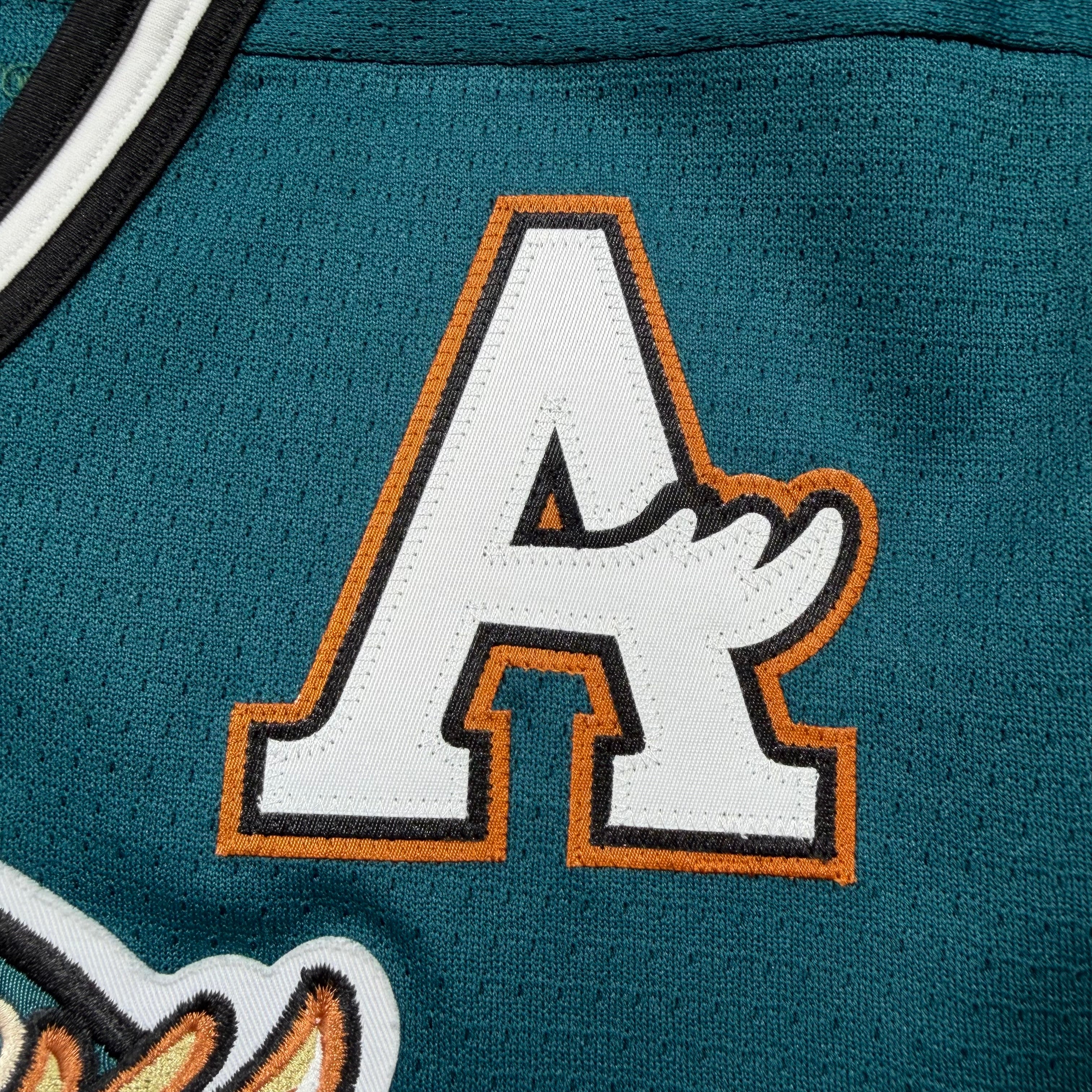Jimmy Roy Manitoba Moose Vintage SP AHL Jersey - Small