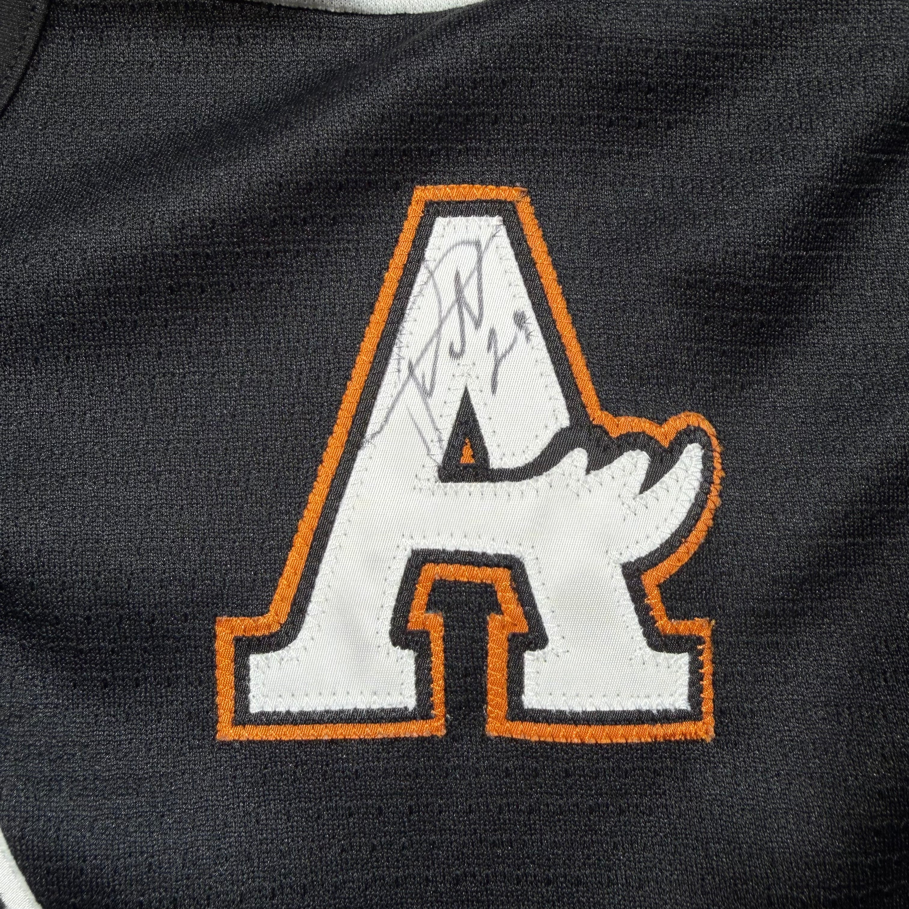 Jimmy Roy Manitoba Moose Vintage SP AHL Jersey - Medium