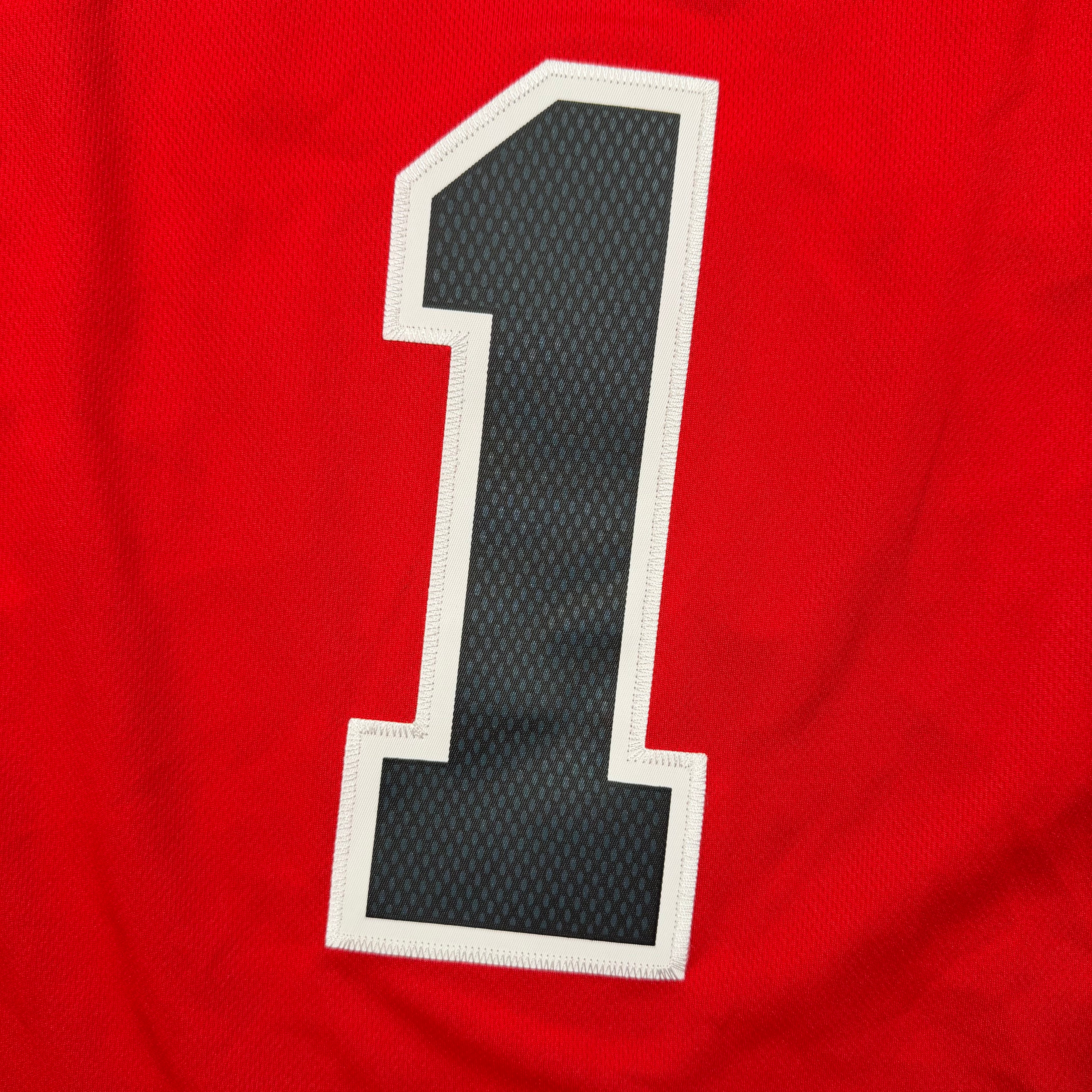 Derrick Rose Chicago Bulls Adidas Swingman NBA Jersey - XL