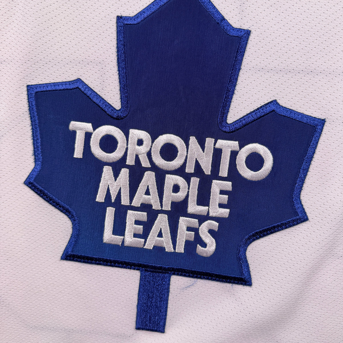 Jason Blake Toronto Maple Leafs 2008/09 Game Worn Reebok NHL Jersey