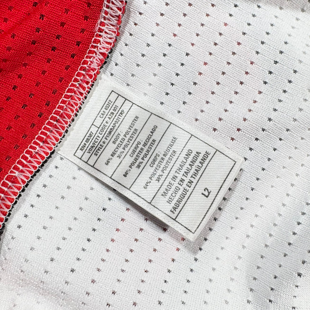 Tyler Hansbrough Toronto Raptors Adidas Rev 30 Authentic NBA Jersey Size Large