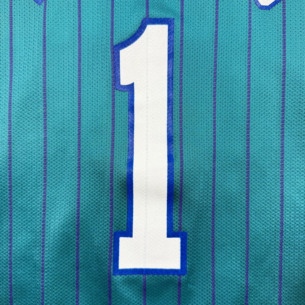 Baron Davis Charlotte Hornets Vintage Champion NBA Jersey - 40/Medium