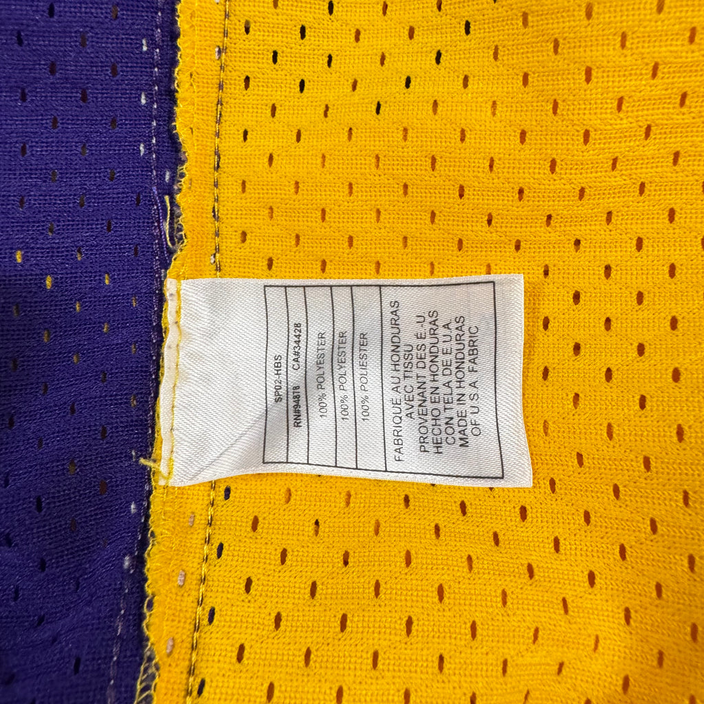 Rick Fox Los Angeles Lakers Vintage Nike Swingman NBA Jersey Size XL RARE