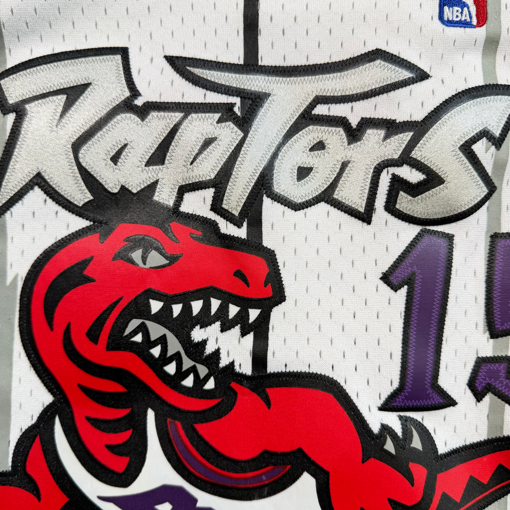 Vince Carter Toronto Raptors Mitchell & Ness NBA Jersey - Small