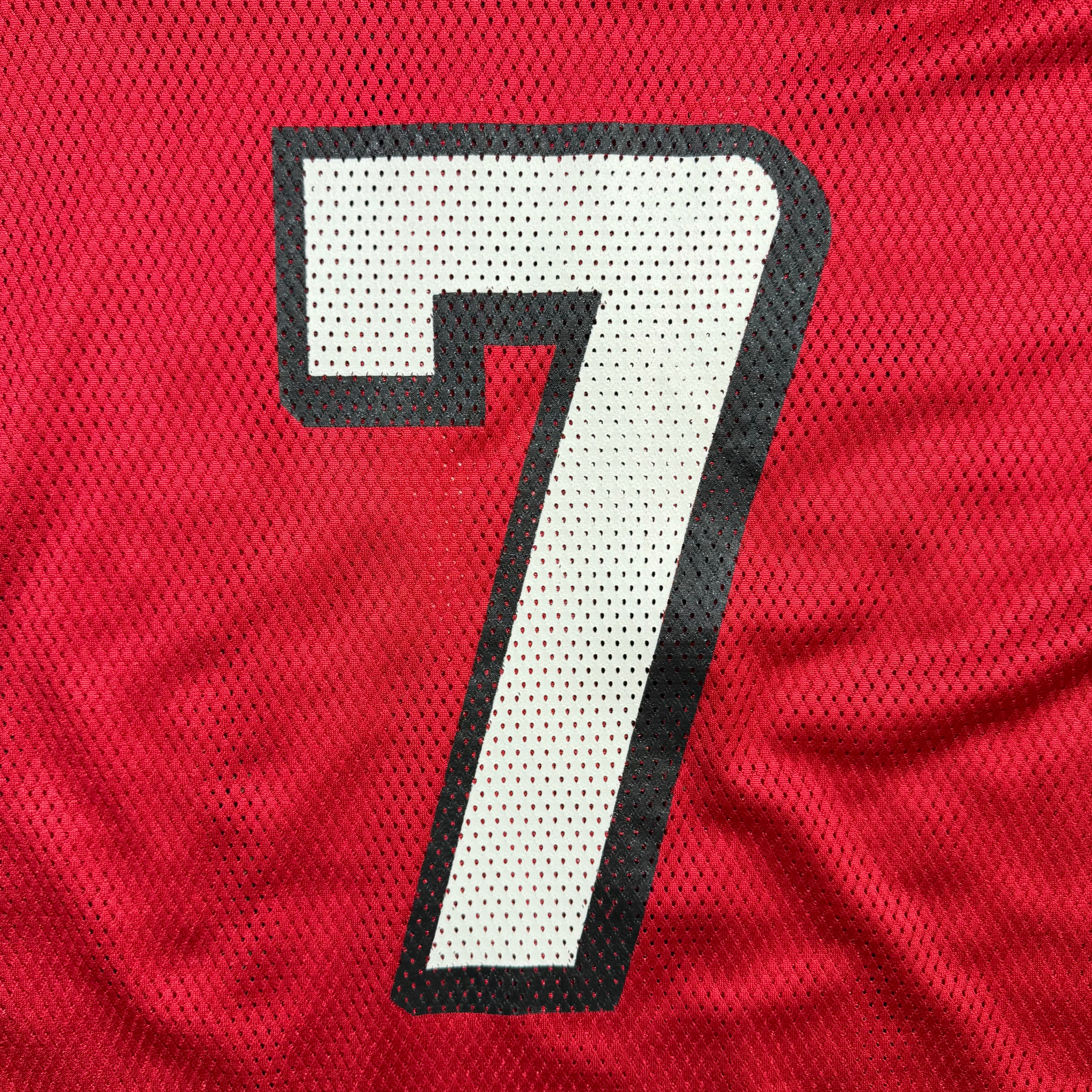 Michael Vick Atlanta Falcons Vintage Reebok NFL Jersey - XL