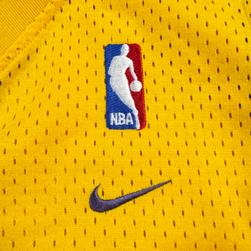 Rick Fox Los Angeles Lakers Vintage Nike Swingman NBA Jersey Size XL RARE
