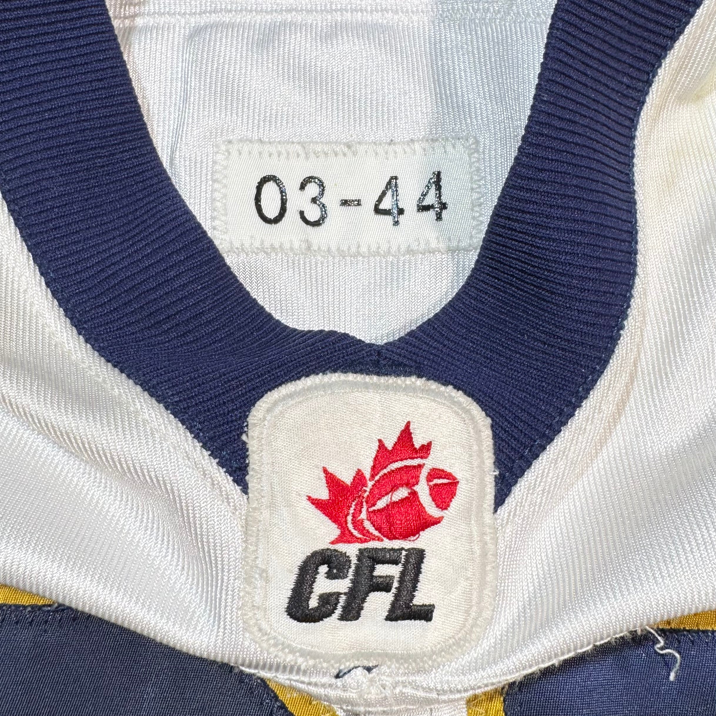 Terry Ray Winnipeg Blue Bombers 2004 Game Worn CFL Football Jersey