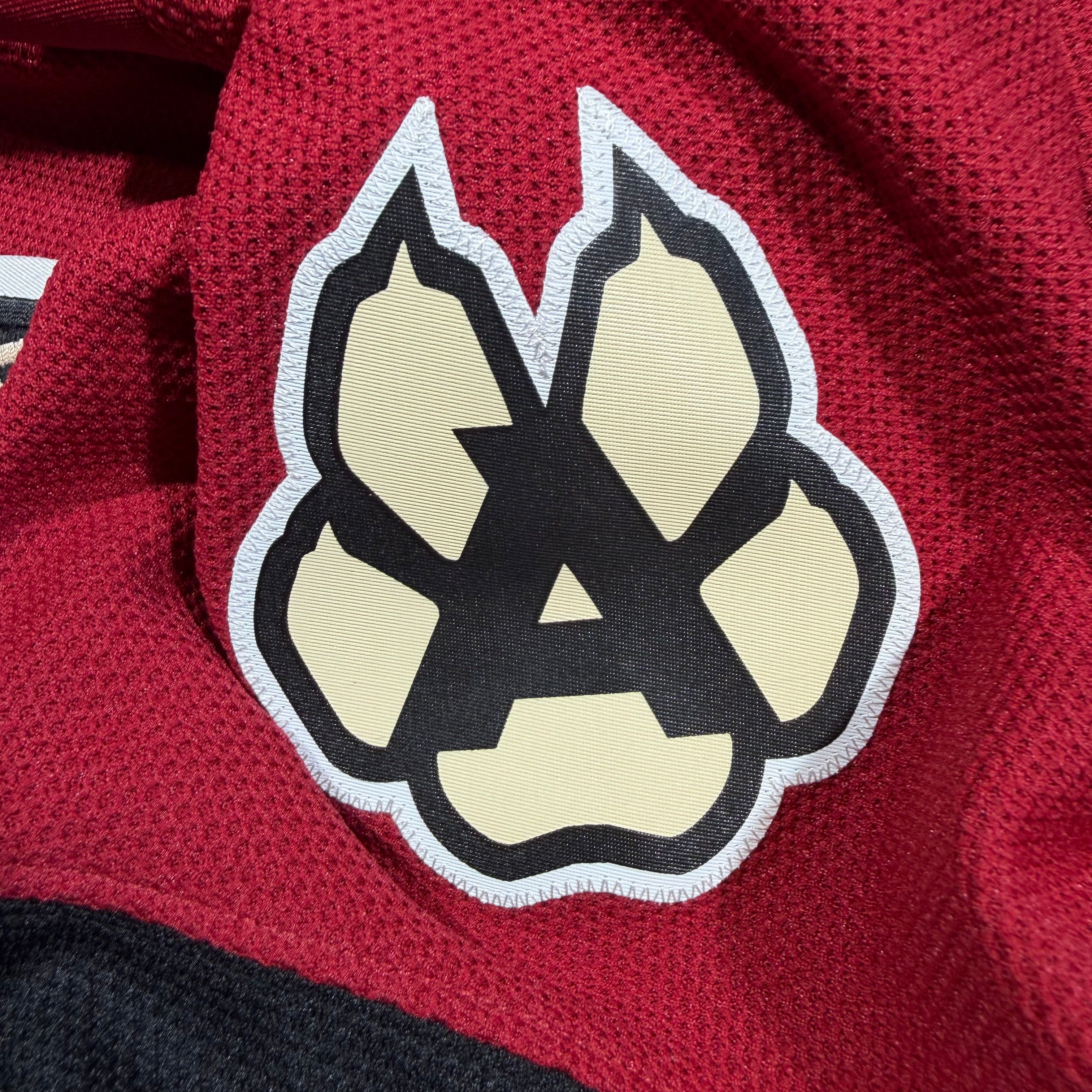 Max Domi Arizona Coyotes Reebok NHL Jersey - XXL