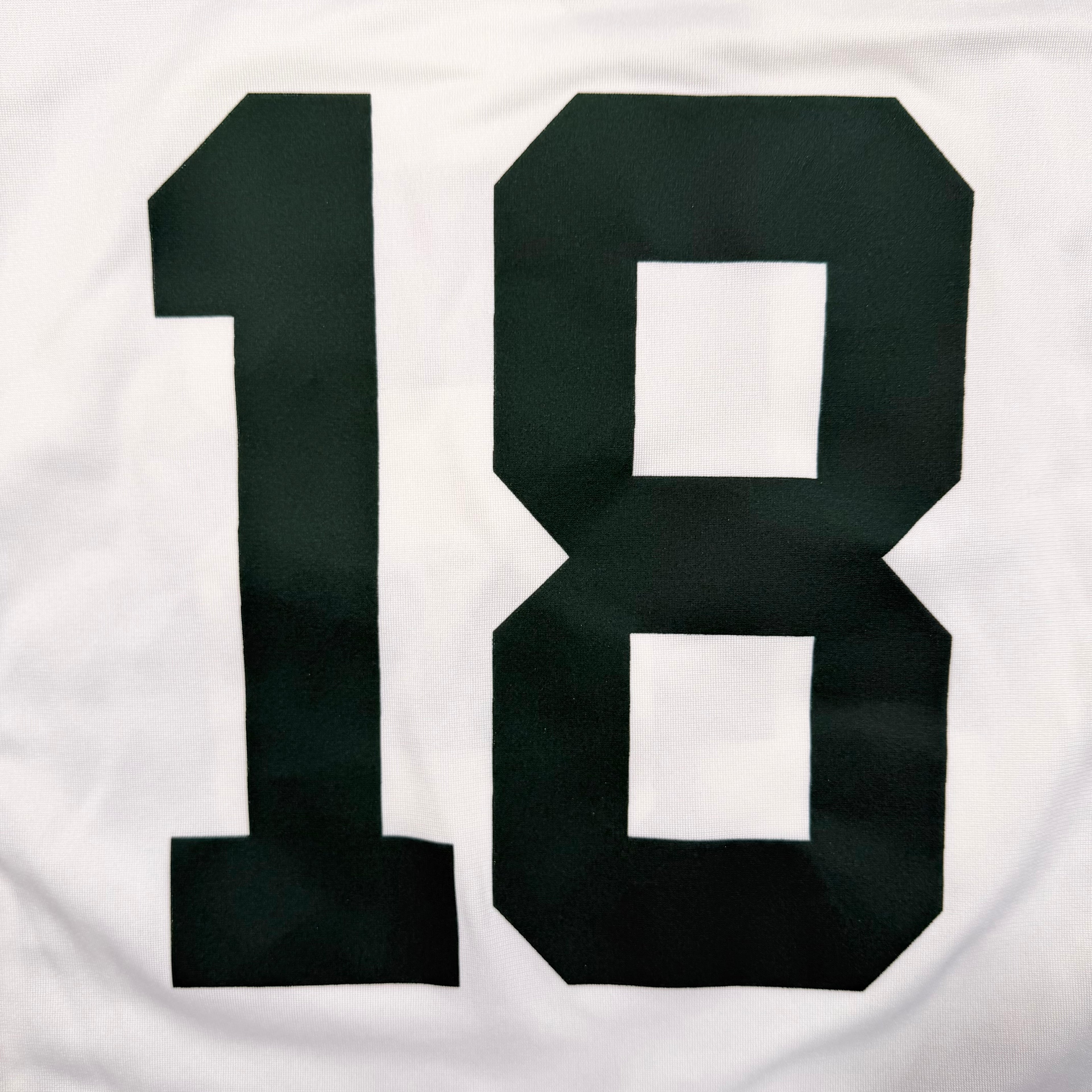 Randall Cobb Green Bay Packers Nike Game NFL Jersey - Large