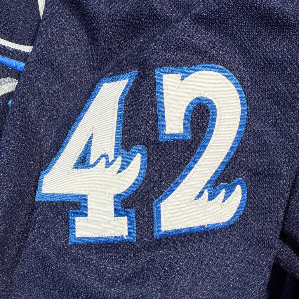Peter Stoykewych Manitoba Moose Signed AHL CCM Hockey Jersey - Large