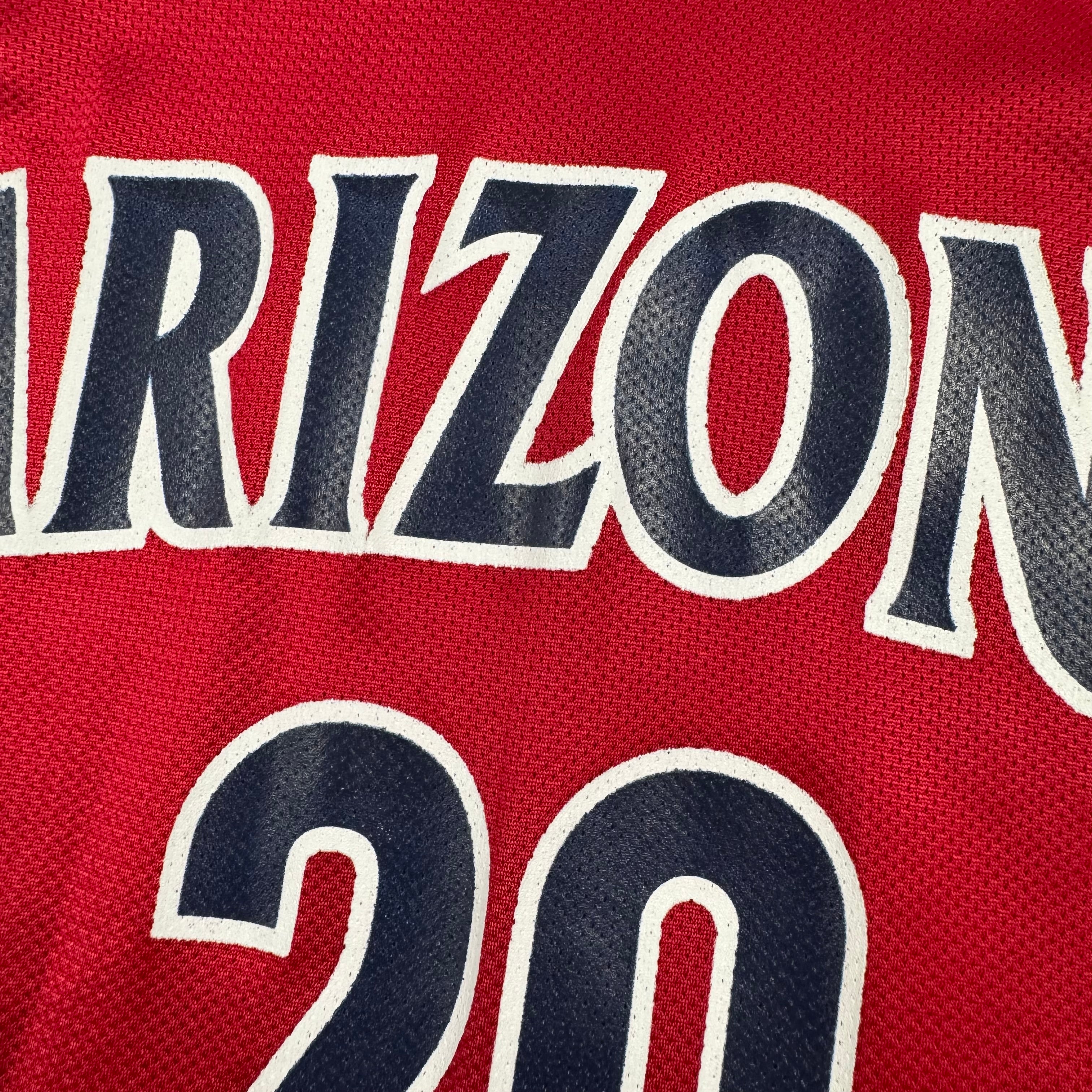 Damon Stoudamire Arizona Wildcats Vintage Authentic Nike NCAA Jersey Size Large